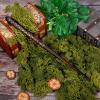 CharmRegion Wooden Wizard Magic Wand Hand Carved Wood Witch Wand for Kids Collection Cosplay, 14.5 in, Dragonscale view 2