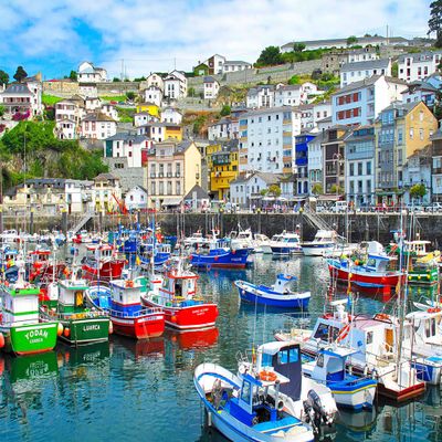 Jigsaw Puzzles for Adults 1000 Piece Puzzle for Adults 1000 Pieces Puzzle 1000 Pieces- Luarca Harbor Spain