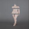 1/6 Scale Female Body,12inch Female Half-Seamless Pale Skin Joint Flexible Action Figure Body Collection view 3