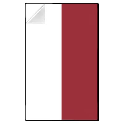 iLuane Display Wallboard for C64005w Race Car Building Blocks Set, Adult Collectibles Wall Mount, Home or Office Dcor, Two-Tone (No Car Included)