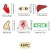 BEUNITONE Body Parts Learning Felt Story Board for Family 48 Pcs Large Preschool Human Organ Name Words Useful Felt Story Board Set Wall Activity for Birthday Christmas New Year Gifts view 3