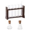 Hobbspring Dollhouse Mini Glass Test Tube Micro Landscape Ornaments Test Tube Dollhouse Experiment Ornament Miniature Glass Tube Tiny Wood Test Tube Rack for Dollhouse Decor view 1