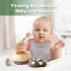 haakaa Baby Silicone Mushroom Bowl, Silicone Baby Feeding Bowl & Bendy Cutlery Set -Walnut view 2