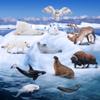 24PCS Large North American Forest and Polar Animal Toys view 4