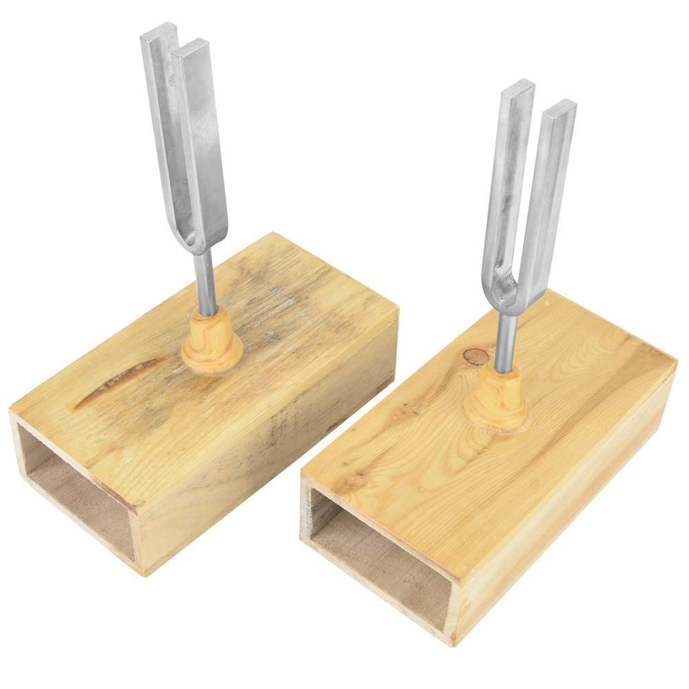 440HZ Tuning Fork Vibration Experimental Instrument Set with Wood Resonator Box & Knocker School Lab Equipment, Sound Demonstration Tool