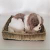 PawFection Pets Shih Tzu Dog, Realistic, Lifelike Stuffed Interactive Nodding Pet Toy, Companion Pet Puppy with 100% Handcrafted Synthetic Fur view 3