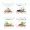 1Pc Transparent Dollhouse Miniature Fish Tank, 1:12 Dollhouse Mini Scene Model Creative Fish Bowl Pretend Home Decoration Gifts,Dollhouse Accessories view 1