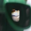 WARM FUZZY Toys 3D Viewfinder (Alligator) - Viewfinder for Kids & Adults, Classic Toys, Slide Viewer, 3D Reel Viewer, Retro, Vintage Toys with 3 Reels - Contains 21 High Definition 3D Images view 3