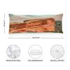 Denver Cotton Body Pillow for Side Sleeper Denver City View Body Pillow for Pregnant Women Long Pillow Case with Zipper Pillow Case Bedroom Decor 20x59in view 2