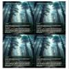 4x | Shifting Woodland | Anime | Full Art | Foil or Non-Foil (Foil) view 1