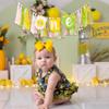 ZAIBIANHAO Lemon First Birthday High Chair Banner - Lemonade 1st Birthday One Garland, Fruit Theme Party Decorations,First Smash Cake Wall Photo Prop (Lemon Banner) view 3
