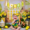 ZAIBIANHAO Lemon First Birthday High Chair Banner - Lemonade 1st Birthday One Garland, Fruit Theme Party Decorations,First Smash Cake Wall Photo Prop (Lemon Banner) view 4