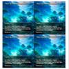 4x | Misty Rainforest | Anime | Full Art | Foil or Non-Foil (Foil) view 1