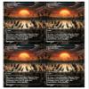 4x | Marsh Flats | Anime | Full Art | Foil or Non-Foil (Non Foil) view 1