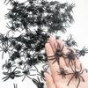 120 Packs of 4 Types Spider,Plastic Spiders,Fake Bugs Fake Spiders,Realistic Spider Prank view 1
