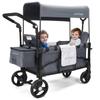 MOMFANN Stroller Wagon for Kids, Wagon Stroller Toddlers 2 Seaters, All-Terrain Baby Wagon Outdoor with Canopy, Parent Organizer, Adjustable Handle & Pull Bar for Infants and Toddlers, Gray view 1