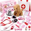 SYNCFUN Doctor Kit for Girls, 22 PCS Veterinarian Playset for Kids, Vet Kit with Dog Toy, Stethoscope, Storage Bag and Accessories,Role Play for Toddlers 3 4 5 6, Easter Basket Stuffers Birthday Gifts view 1