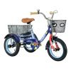 Glyncipher 12 inch Trike, Kids Tricycle, Ages 3+, Beginner Riders, Blue view 1