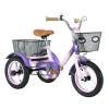 Glyncipher 12 inch Trike, Kids Tricycle, Ages 3+, Beginner Riders, Front & Rear Basket, Passenger Seat, Purple view 1