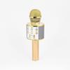 ToysCentral Basics Wireless Karaoke Microphone, 8.97 x 2.75 x 2.75 inches, Gold view 1