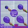 PartyWoo Dark Purple Balloons 123pcs Different Sizes of 18 12 10 5 Inch Royal Purple Balloon Arch Kit Garland for Birthday Baby Shower Graduation Anniversary Bachelorette Party Decorations Purple-Y16 view 4