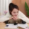 12 Inch Fluffy Realistic Look Stuffed Platypus Soft Plush Figure Toys Kawaii Platypus Plushies Duckbill Gift for Kids and Lovers (Coffee) view 2