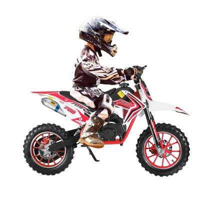 49cc 2 Stroke Pocket Motorcycle,Mini Gas Powered Bike for Kids with Strong Dual Brake,Pocket Motorcycle Max Speed 20 Mph,Mini Motorcycle Max Weight 170 lB (Black & Red)