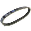 KoehLy Transfer Drive Belt Compatible with Codlice EPCOUR045 BD522187 Bellier Docker Truck JDM Lombardini DCI Engine Aloes Roxsy view 1