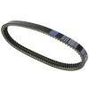 KoehLy Transfer Drive Belt Compatible with Codlice EPCOUR045 BD522187 Bellier Docker Truck JDM Lombardini DCI Engine Aloes Roxsy view 2