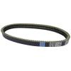 KoehLy Transfer Drive Belt Compatible with Codlice EPCOUR045 BD522187 Bellier Docker Truck JDM Lombardini DCI Engine Aloes Roxsy view 3