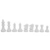 Fydun Portable Plastic International Chess Board Set Chessboard for Party Activities Applied Family (White) view 2