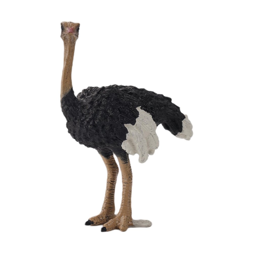 Andux Realistic Animals Figures Toys Marine Life Wild Jungle Learning Educational Playset FZDW-03 (Ostrich) OX117-120