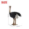 Andux Realistic Animals Figures Toys Marine Life Wild Jungle Learning Educational Playset FZDW-03 (Ostrich) OX117-120 view 2