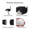 Andux Realistic Animals Figures Toys Marine Life Wild Jungle Learning Educational Playset FZDW-03 (Ostrich) OX117-120 view 3