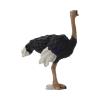 Andux Realistic Animals Figures Toys Marine Life Wild Jungle Learning Educational Playset FZDW-03 (Ostrich) OX117-120 view 4