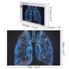 1000 PCS Jigsaw Puzzle for Adults Wooden Challenging Puzzle Lungs Under The Light Custom Personalized Picture Puzzle for Adults & Kids Family Game Nights Wooden Puzzle view 2