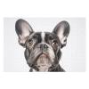 1000 PCS Jigsaw Puzzle for Adults Wooden Challenging Puzzle A French Bulldog Custom Personalized Picture Puzzle for Adults & Kids Family Game Nights Wooden Puzzle view 1