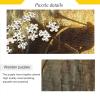 Jigsaw Puzzle 1000 Pieces for Adults Two Men Rowing Canoe on River Wood Puzzles Educational Brain 21220589 view 2