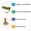 NAKIMO Plastic Lizard Toys Lizard Figurine Realistic Fake Lizards Artificial Model Reptile Toy for Cake Decoration Prank Props Educational Toys (Set - A) view 3