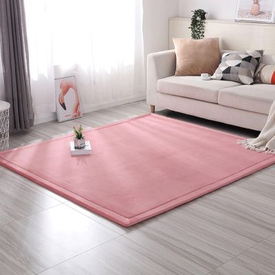 MCBHSH Coral Velvet Rug Nursery Bedroom PlayMat Nonslip Floor Carpet Sofa Living Room Carpet The Perfect Rug for Sports and Crawling