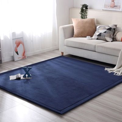 MCBHSH Coral Velvet Rug Nursery Bedroom PlayMat Nonslip Floor Carpet Sofa Living Room Carpet The Perfect Rug for Sports and Crawling