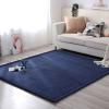 MCBHSH Coral Velvet Rug Nursery Bedroom PlayMat Nonslip Floor Carpet Sofa Living Room Carpet The Perfect Rug for Sports and Crawling view 1
