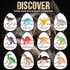 Dinosaur Eggs Dig Kit - Dinosaur Toys for Kids 5-7, Dinosaur Eggs Excavation Kit with 12 Dinosaurs Inside, Fossil Dino Toy, Dinosaur Gifts for Boys Girls 6 and Up Year Old Birthday Easter Gifts view 4