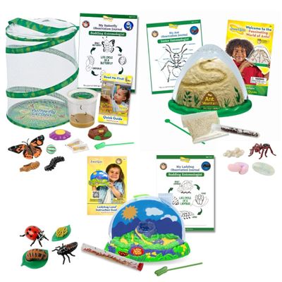 Insect Lore Bug Camp Bundle - Butterfly Kit with 5 Live Caterpillars, Ladybug Land with 1 Tube Live Larvae, Ant Mountain with 1 Tube Live Western Harvester Ants - Bonus Life Cycle Figurines & More