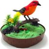 A and E Imports - Singing & Chirping Bird in Cage - Realistic Sounds & Movements view 2