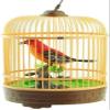 A and E Imports - Singing & Chirping Bird in Cage - Realistic Sounds & Movements view 3