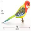 A and E Imports - Singing & Chirping Bird Wall Mount view 3