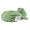 Dino Rexi Sachets view 4