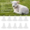 10Pcs Goat Nursing Nipple, Milk Bottle Bucket Nipple Replacement, Soft Silicone Thicken Lamb Feeding Nipples, Small Animal Milk Drink Nipple, Milk Nipples for Pig Sheep Cattle view 4