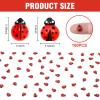 100PCS Mini Ladybug Decor for Dollhouse Resin Tiny Ladybugs for Crafts Micro Miniature Ladybug for Fairy Garden Dollhouse Micro Landscaping Decoration view 2